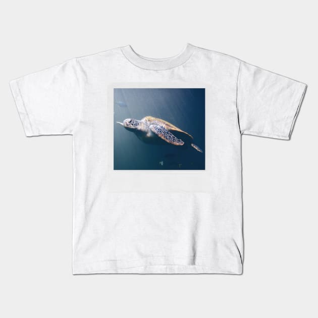 Turtle Cute Underwater Photograph Summer Beach Vibes I Like Turtles Turtle LOVE Kids T-Shirt by blueversion